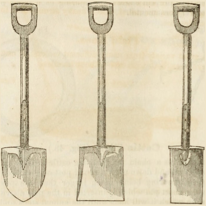 soil for vegetable garden Fig1