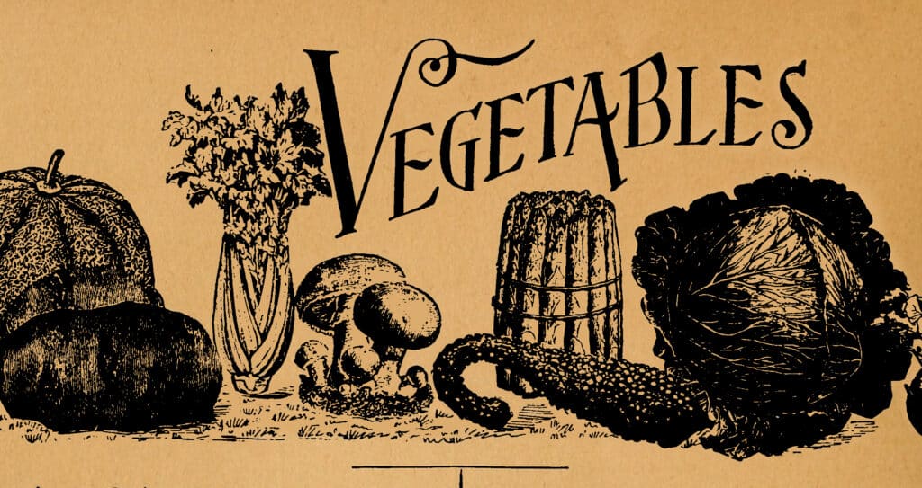 A varied selection of vegetables sits poised, representing the rich bounty that Advanced Soil Management can yield in a garden.