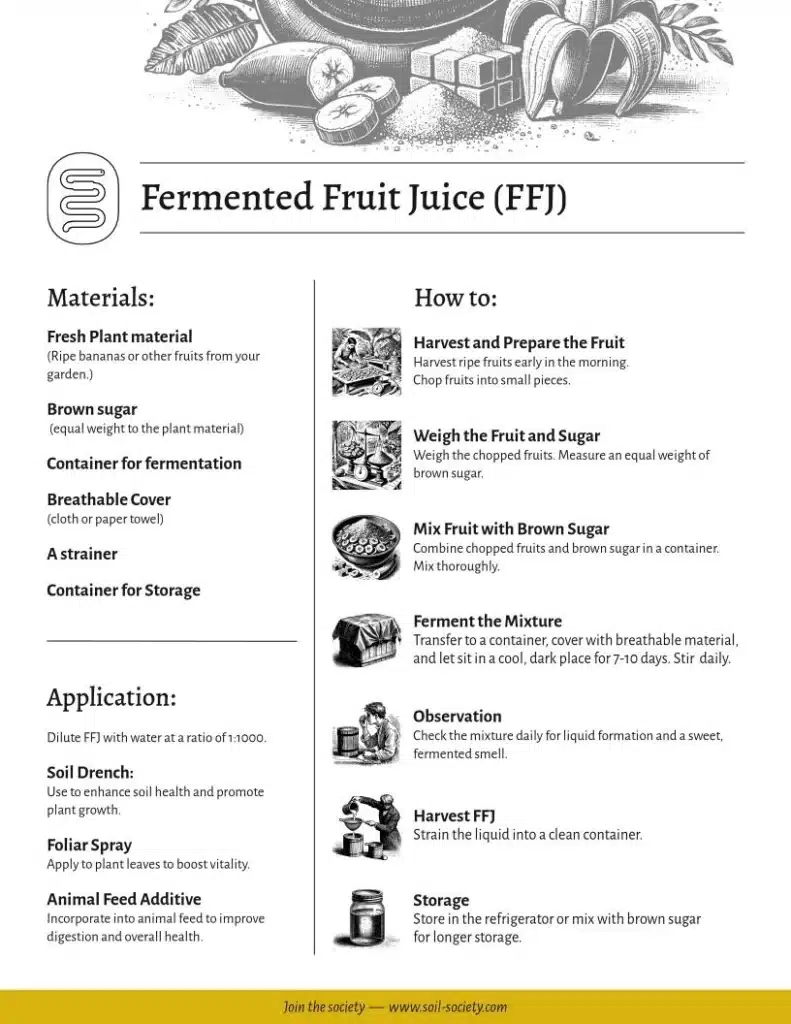 Fermented Fruit Juice FFJ page001
