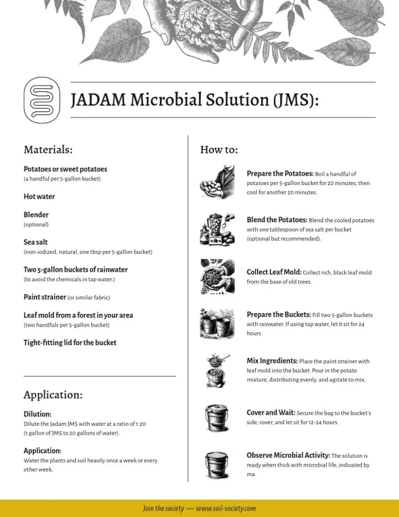 JADAM JMS page001