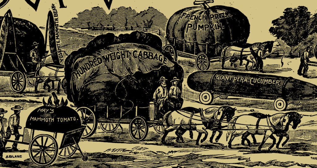 Gigantic vegetables being carted in a parade, highlighting the kind of remarkable plant growth that Jadam JMS can help gardeners achieve through improved soil health.